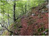 Pod Debelo glavo - Planina Suha